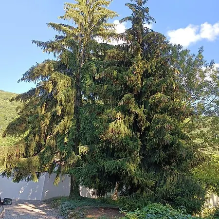Proche Des Passerelles Et Du De Monteynard